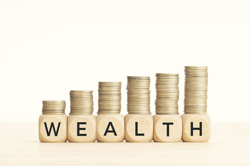 Read more about the article Wealth Vs. Asset Management: Know The Distinction